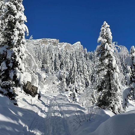 Chalet Du Grand Cerf Servoz Εξωτερικό φωτογραφία