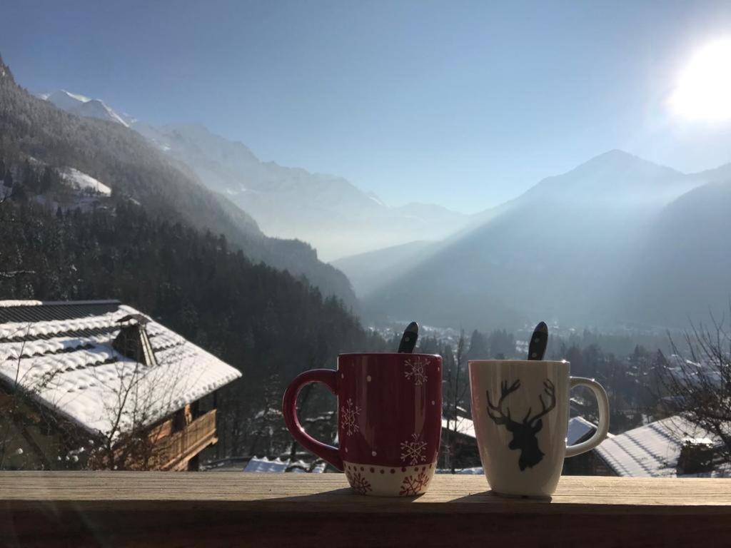 Chalet Du Grand Cerf Servoz Εξωτερικό φωτογραφία