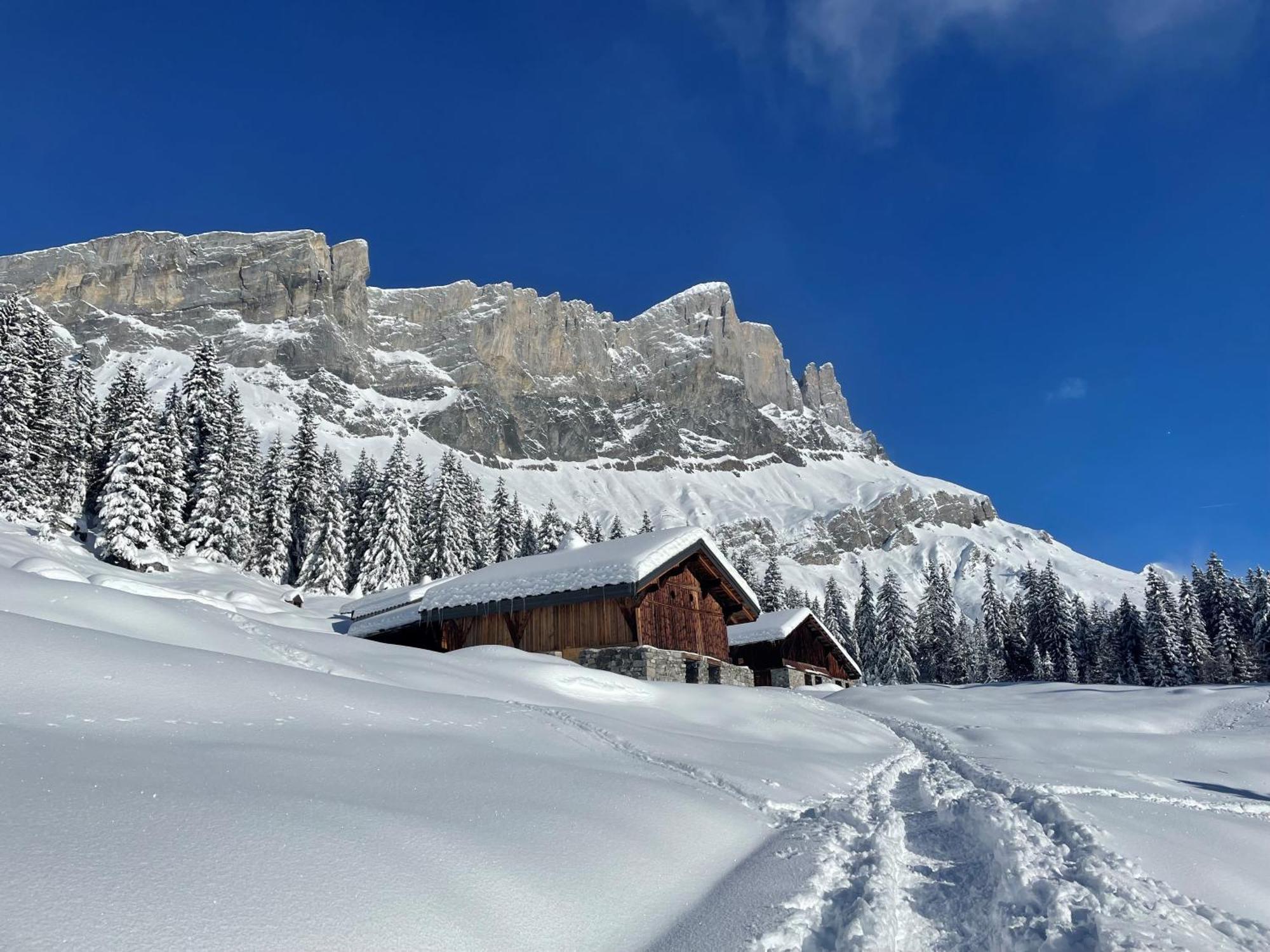 Chalet Du Grand Cerf Servoz Εξωτερικό φωτογραφία